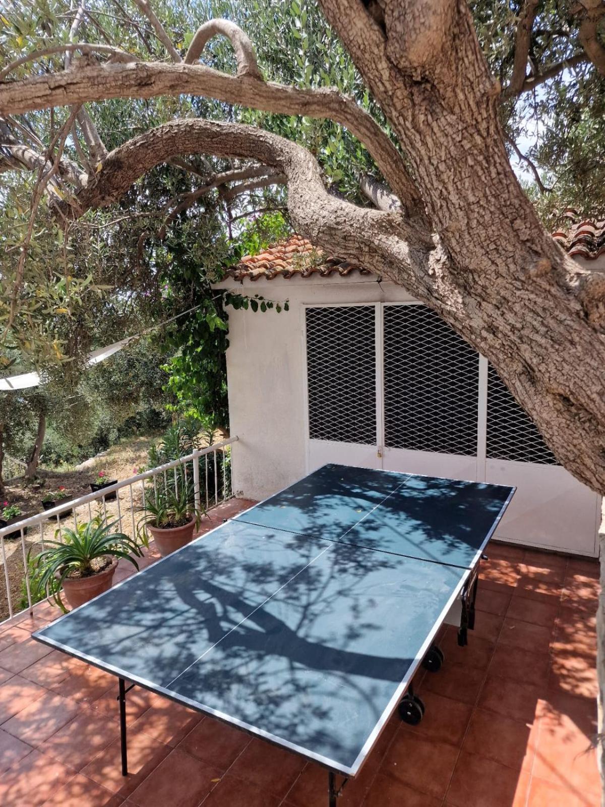 Apartment Panorama - Amazing Sea View, Newly Renovated Dugi Rat Exterior foto